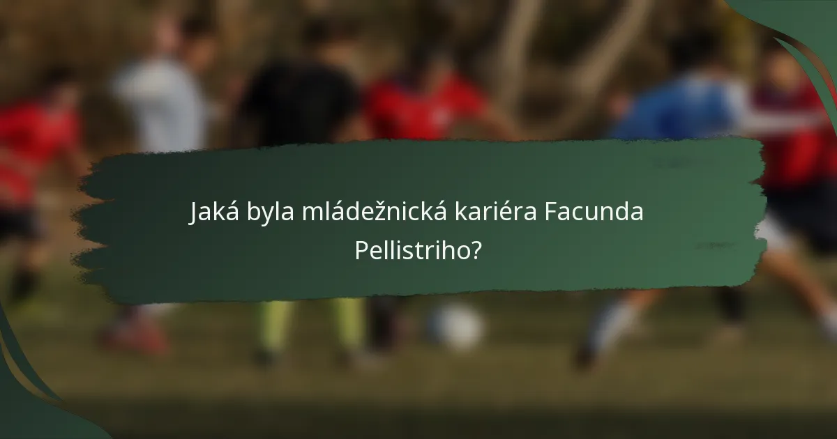 Jaká byla mládežnická kariéra Facunda Pellistriho?
