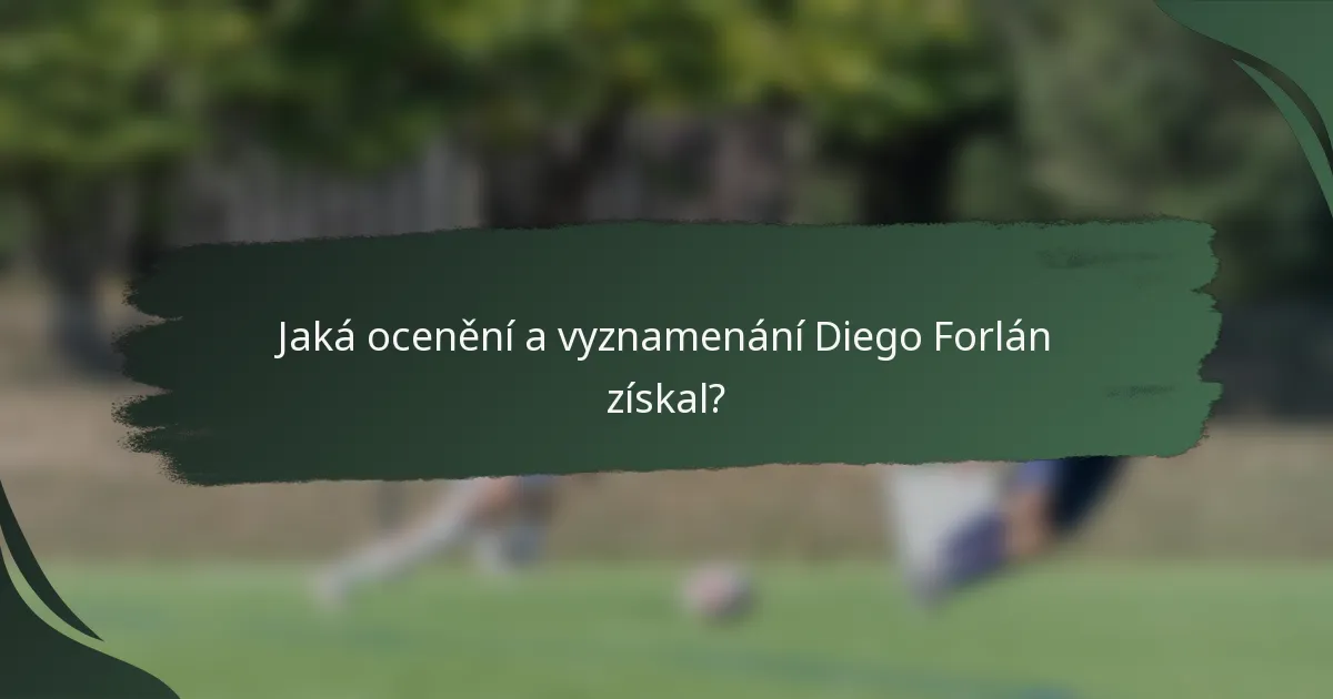 Jaká ocenění a vyznamenání Diego Forlán získal?