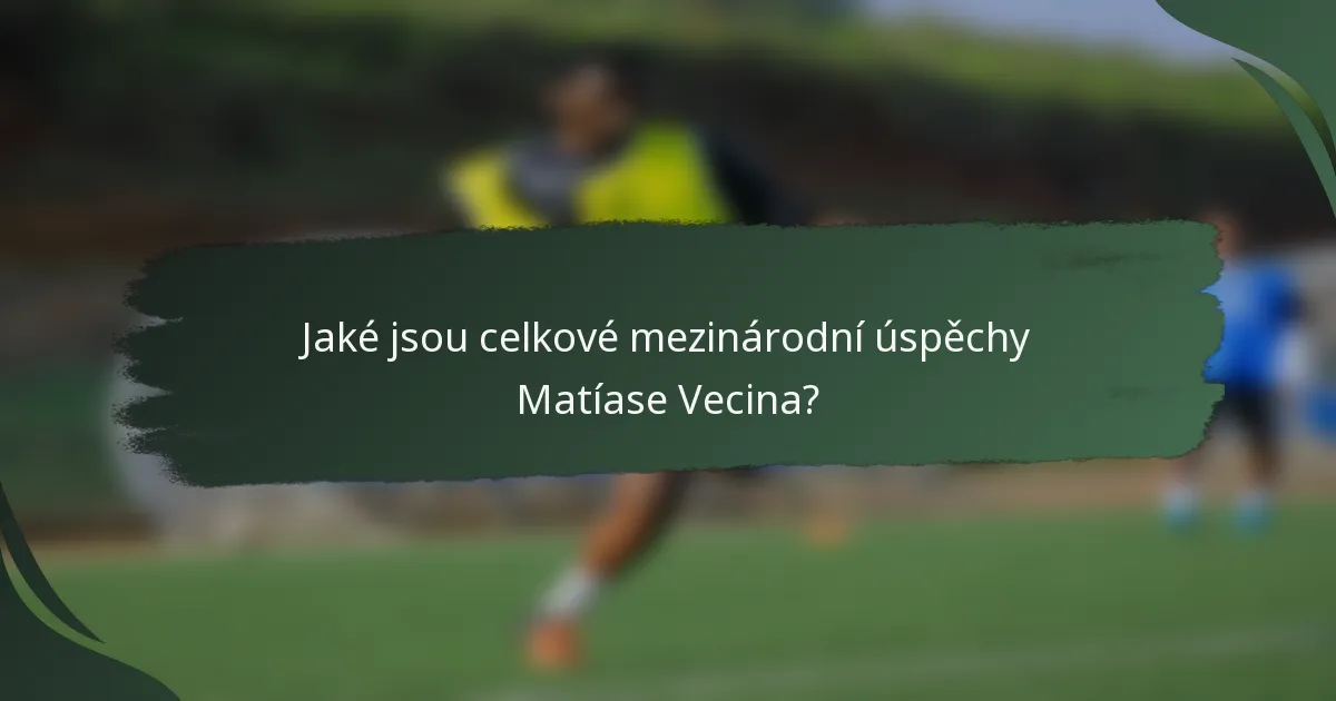 Jaké jsou celkové mezinárodní úspěchy Matíase Vecina?
