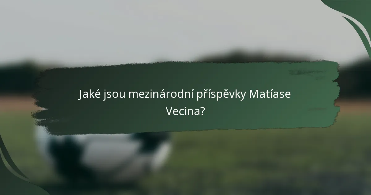 Jaké jsou mezinárodní příspěvky Matíase Vecina?
